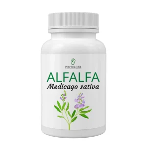 Alfalfa 90 gélules de 500mg