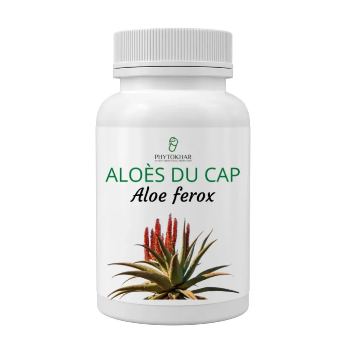 aloes noir (1) aloes noir (1)