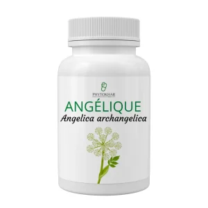 Angélique 90 gélules de 500mg